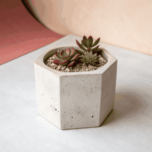 Seasonal Succulent Garden Pot