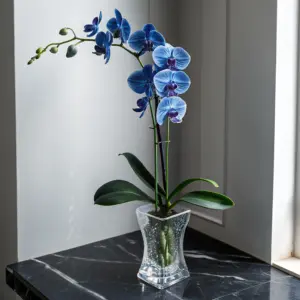 Cascading Orchid Arrangement